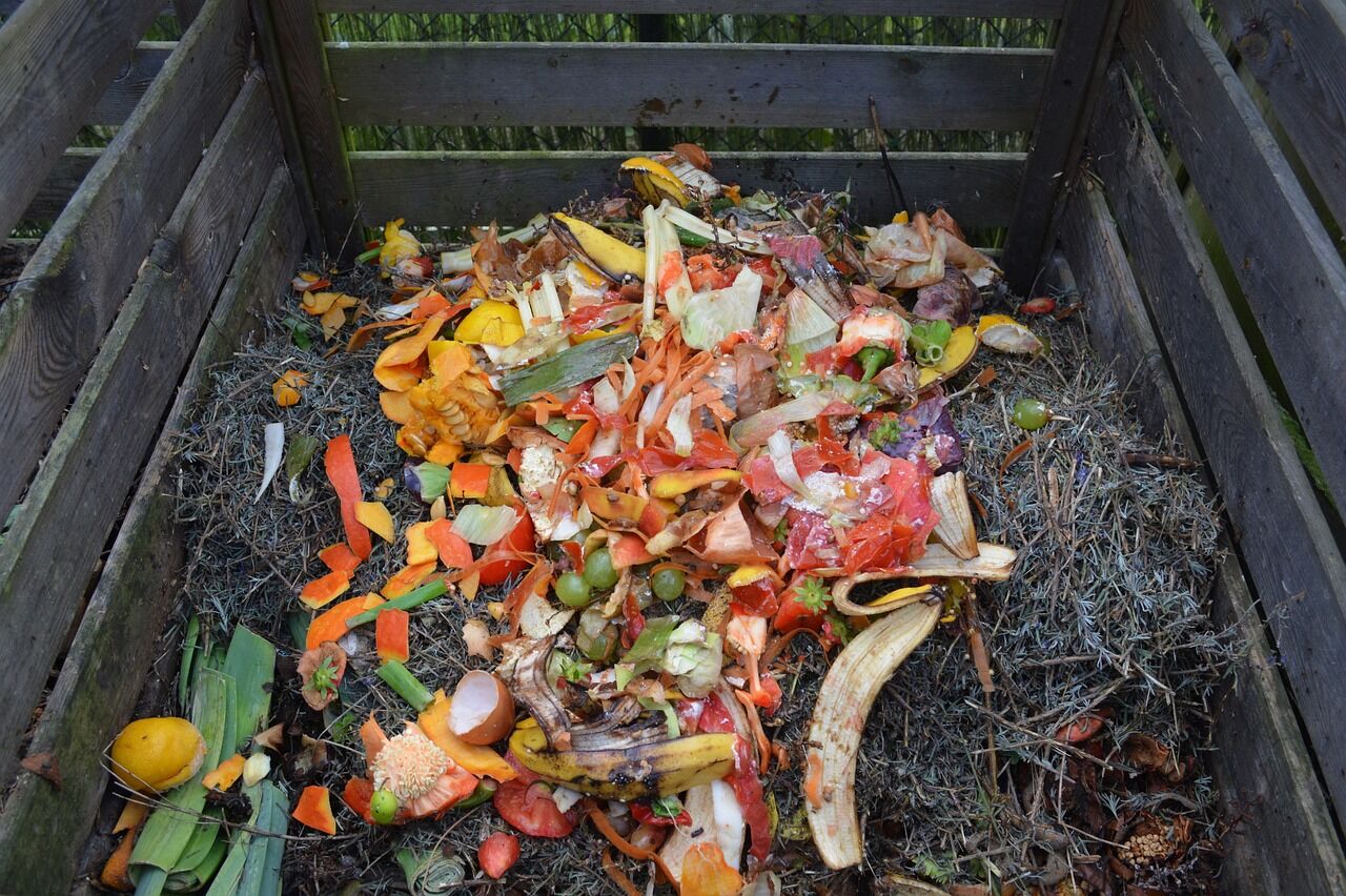 green-waste-513609_1280.jpg